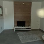 Rent 1 bedroom apartment of 78 m² in Schiltigheim