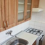 Rent 1 bedroom apartment of 60 m² in Brno