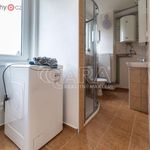 Rent 3 bedroom apartment of 67 m² in Chrudim