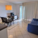 Rent 2 bedroom apartment of 50 m² in Forte dei Marmi