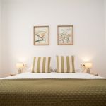 Alquilo 1 dormitorio apartamento de 15 m² en Sanlúcar de Barrameda