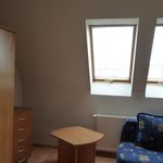 Wynajmij 7 sypialnię apartament z 100 m² w Mława