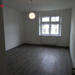 Rent 3 bedroom apartment of 89 m² in Prague