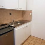 Rent 1 bedroom apartment of 26 m² in Grenoble