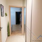 Rent 3 bedroom apartment of 64 m² in Bruntál