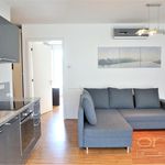 Rent 2 bedroom apartment of 62 m² in Praha