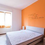 Rent 1 bedroom apartment of 60 m² in Rho