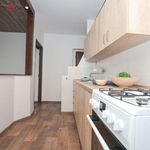 Rent 3 bedroom apartment of 57 m² in Meziboří