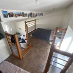 Rent 1 bedroom apartment of 24 m² in Vienne