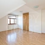 Rent 10 bedroom house of 348 m² in Praha