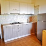 Rent 2 bedroom apartment of 670 m² in Grado