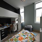 Huur 3 slaapkamer huis van 273 m² in Menen