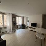 Rent 1 bedroom apartment of 28 m² in Carcès
