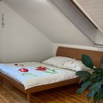 Pronajměte si 5 ložnic/e dům o rozloze 240 m² v Olomouc