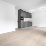Rent 1 bedroom house in Antwerpen
