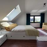 Miete 2 Schlafzimmer wohnung von 65 m² in Gerolstein