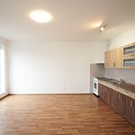 Rent 1 bedroom apartment of 35 m² in Kolin