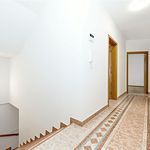 Rent 1 bedroom house of 280 m² in Prague