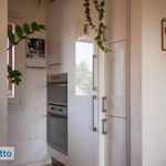 Rent 2 bedroom apartment of 77 m² in Vicenza