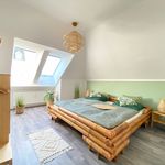 Rent 2 bedroom apartment of 45 m² in Chemnitz