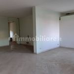 Affitto 5 camera appartamento di 170 m² in Santa Croce sull'Arno