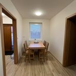 Rent 1 bedroom apartment in České Budějovice