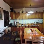 Rent 1 bedroom house of 60 m² in Municipal Unit of Aegira