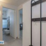Rent 1 bedroom house of 50 m² in Milano