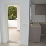Rent 3 bedroom apartment of 85 m² in Málaga