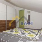 Rent 10 bedroom apartment of 350 m² in Pula