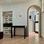 Affitto 3 camera appartamento di 55 m² in Palestrina