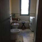 Rent 2 bedroom house of 50 m² in Lecce