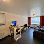 Rent 1 bedroom apartment in Wetteren