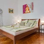 Rent 2 bedroom apartment of 52 m² in Praha
