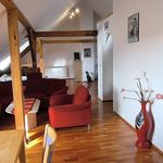 Rent 1 bedroom apartment of 120 m² in Cheb