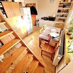 Pronajměte si 1 ložnic/e byt o rozloze 31 m² v Olomouc