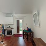 Rent 2 bedroom apartment of 55 m² in bologna