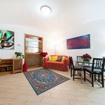Rent 1 bedroom apartment of 61 m² in Roma