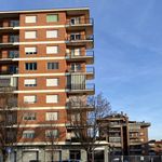Rent 2 bedroom apartment of 57 m² in Turin