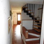Affitto 5 camera appartamento di 100 m² in Borgo San Lorenzo