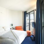Alquilo 1 dormitorio apartamento de 30 m² en Alicante