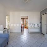Rent 4 bedroom apartment of 78 m² in Empoli