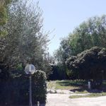 Rent 4 bedroom house of 408 m² in Foggia