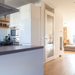Rent 4 bedroom house of 160 m² in Amersfoort