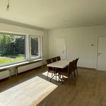 Rent 2 bedroom house of 3343 m² in Rotselaar