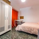 Rent a room of 90 m² in Elx