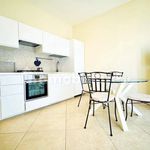 Rent 3 bedroom house of 60 m² in Camaiore