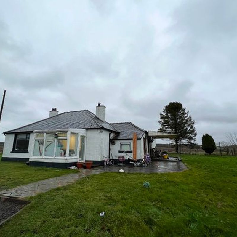 Bungalow to rent in Mill Of Murroes, Dundee DD5 Monifieth