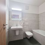 Rent 3 bedroom apartment of 120 m² in Sumvitg
