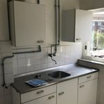 Rent 3 bedroom apartment of 55 m² in Amersfoort